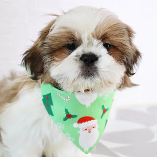 Will - Available Now