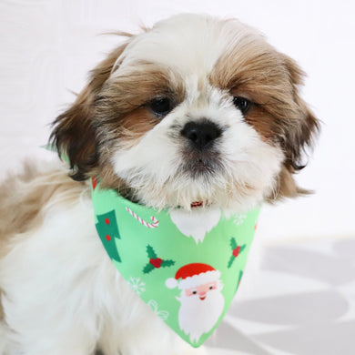 Will - Available Now