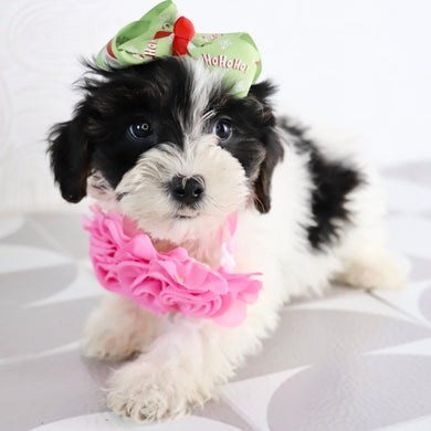 Caledonia - Available Now