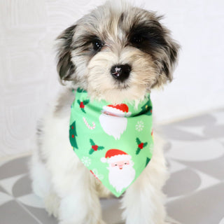 Alfred - Available Now