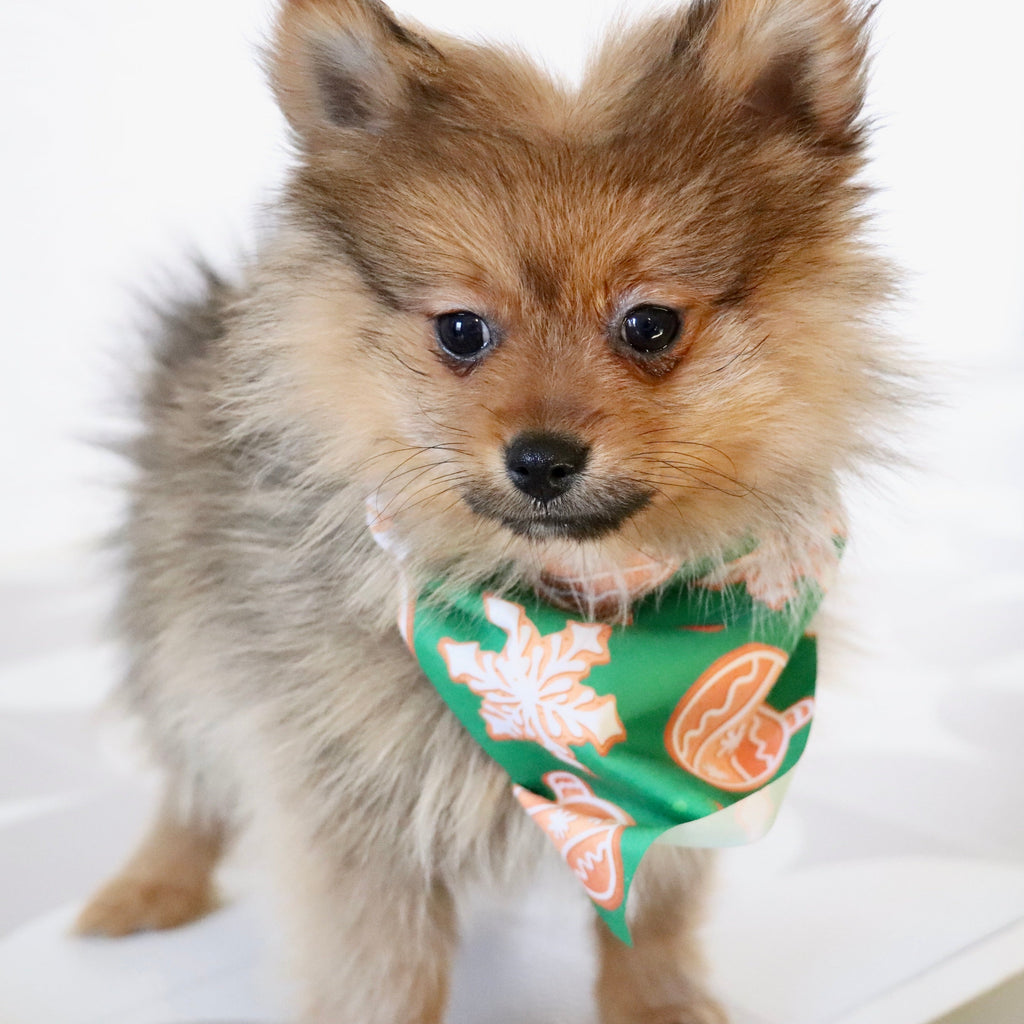 Acton - Available Now