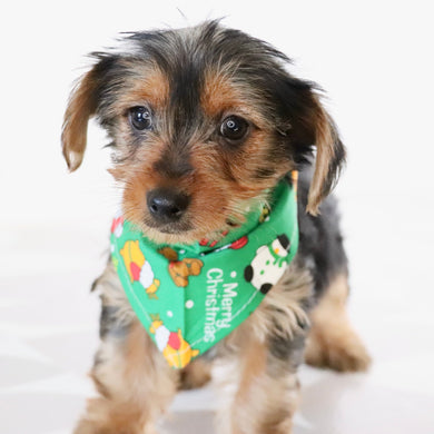 Wanda - Available Now