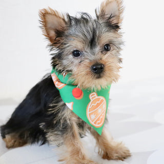 Blossom - Available Now