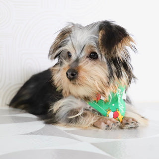 Tooele - Available Now