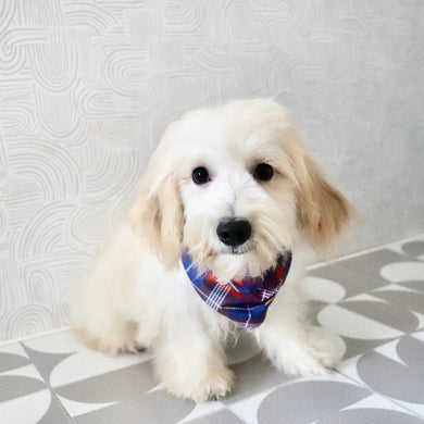 Odin - Available Now