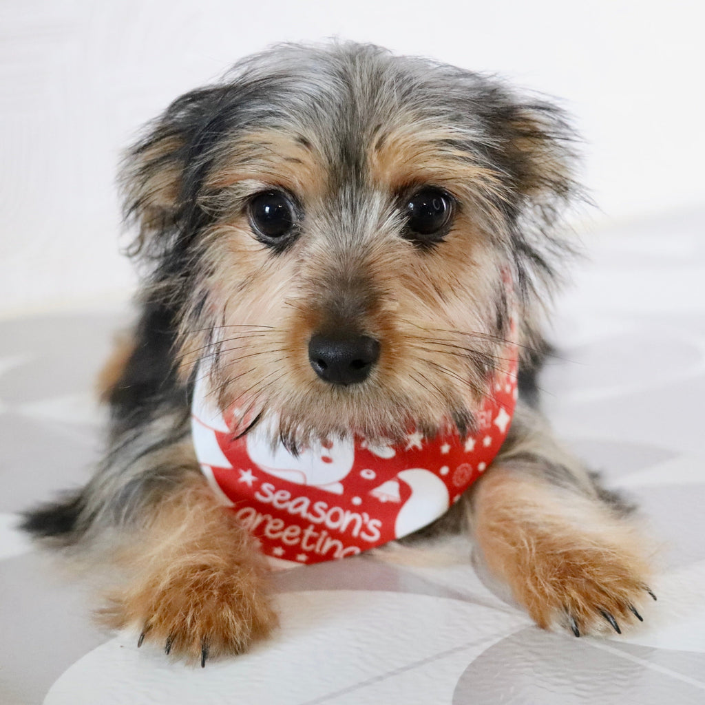 Fairway - Available Now