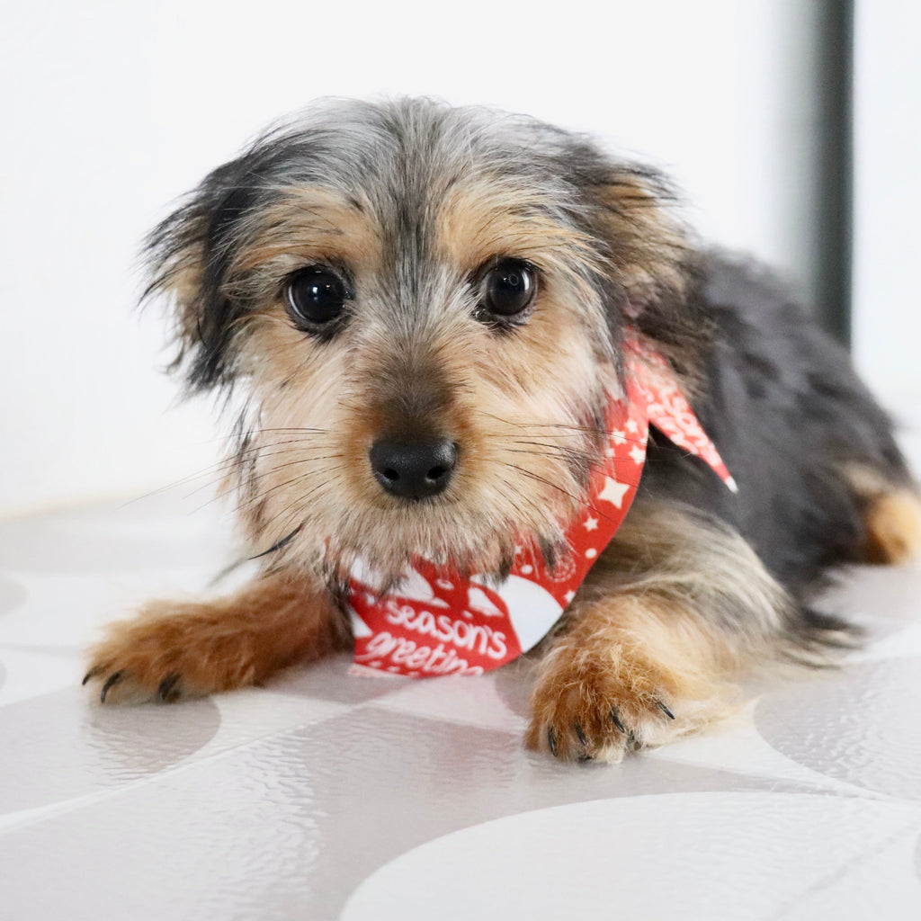 Fairway - Available Now