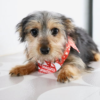 Fairway - Available Now