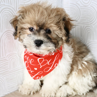 Caden - Available Now