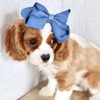 Madonna - Available Now