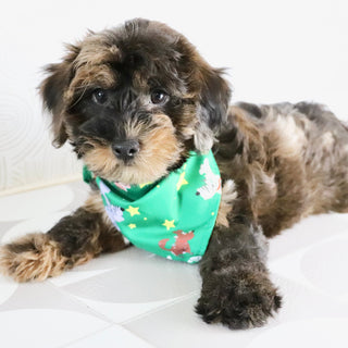 Mackie - Available Now