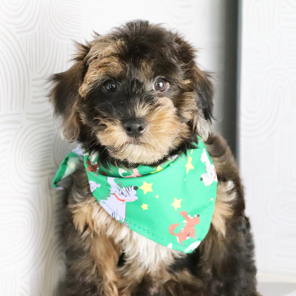 Mackie - Available Now