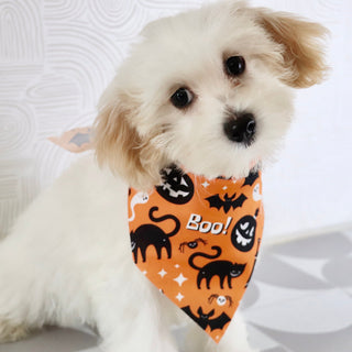 Tank - Available Now