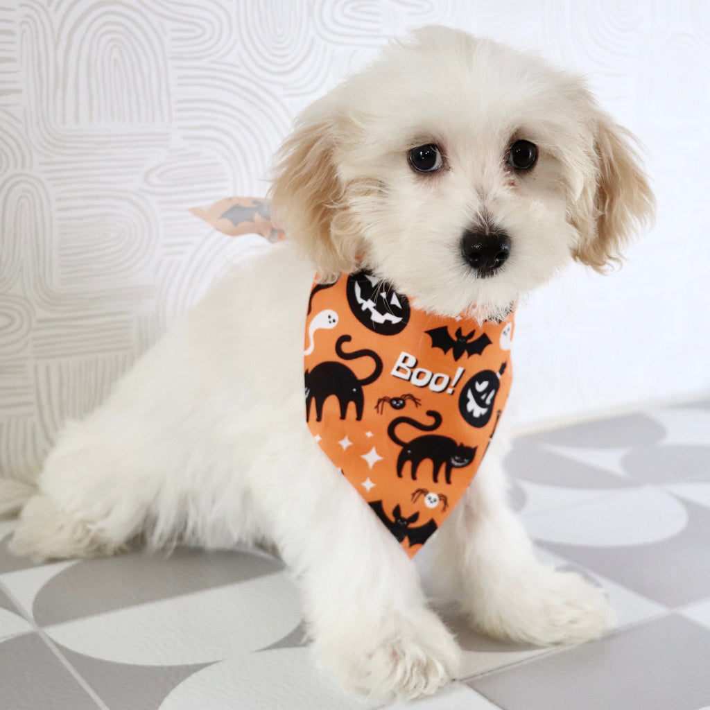 Tank - Available Now