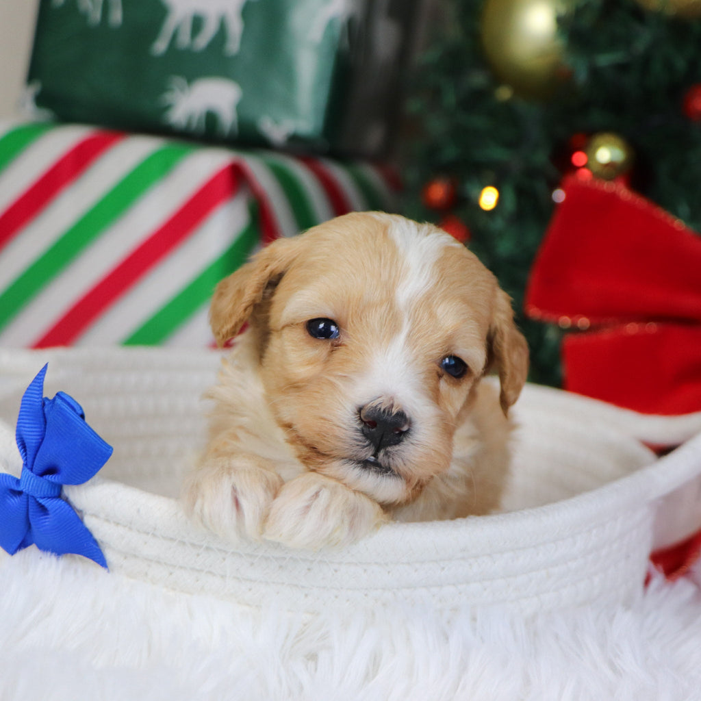 Jason - Available 1/21