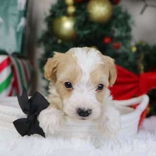 Jim - Available 1/21