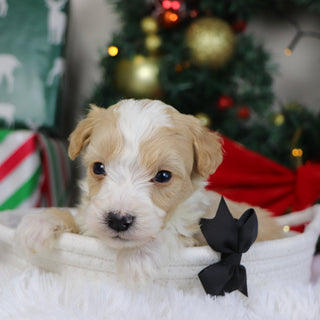 Jim - Available 1/21