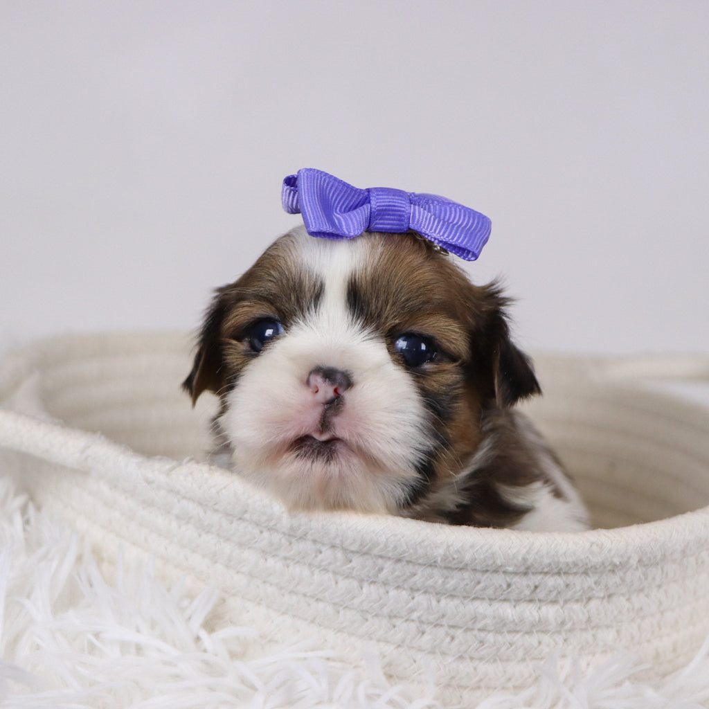 Leigh - Available 12/17