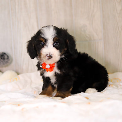 Colton - Available 5/7