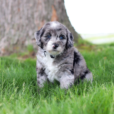 Spike - Available 5/28