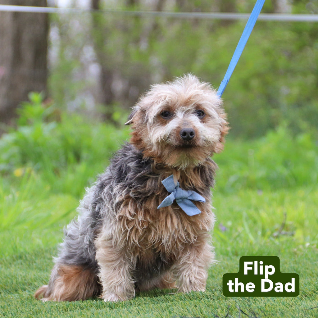 Helen - Available 12/17