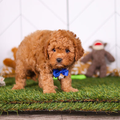 Mills - Available 2/26