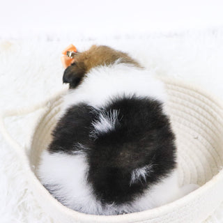 Maggie - Available Now