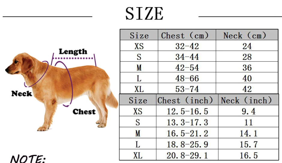 Harness and Leash Set
