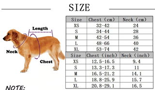 Harness and Leash Set