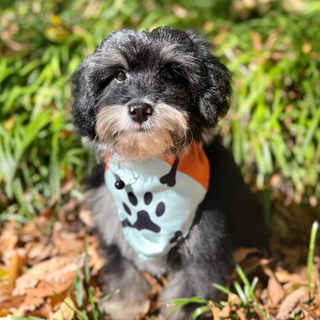 Oscar *PRE-TRAINED* - Available 11/9