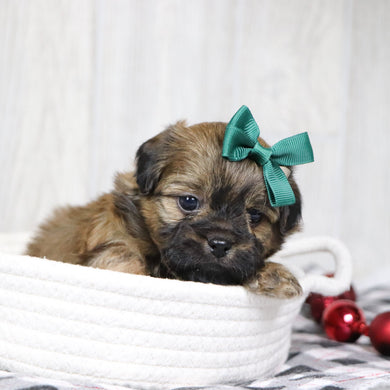 Tammy - Available 1/14