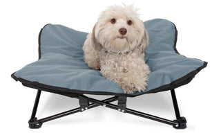 Elevated Dog Bed