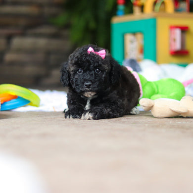 Debbie - Available 8/6