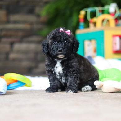 Debbie - Available 8/6