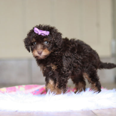 Rita - Available Now