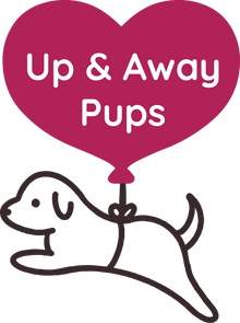 Up And Away Pups