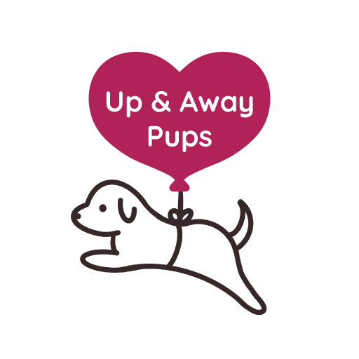 Up and Away Pups
