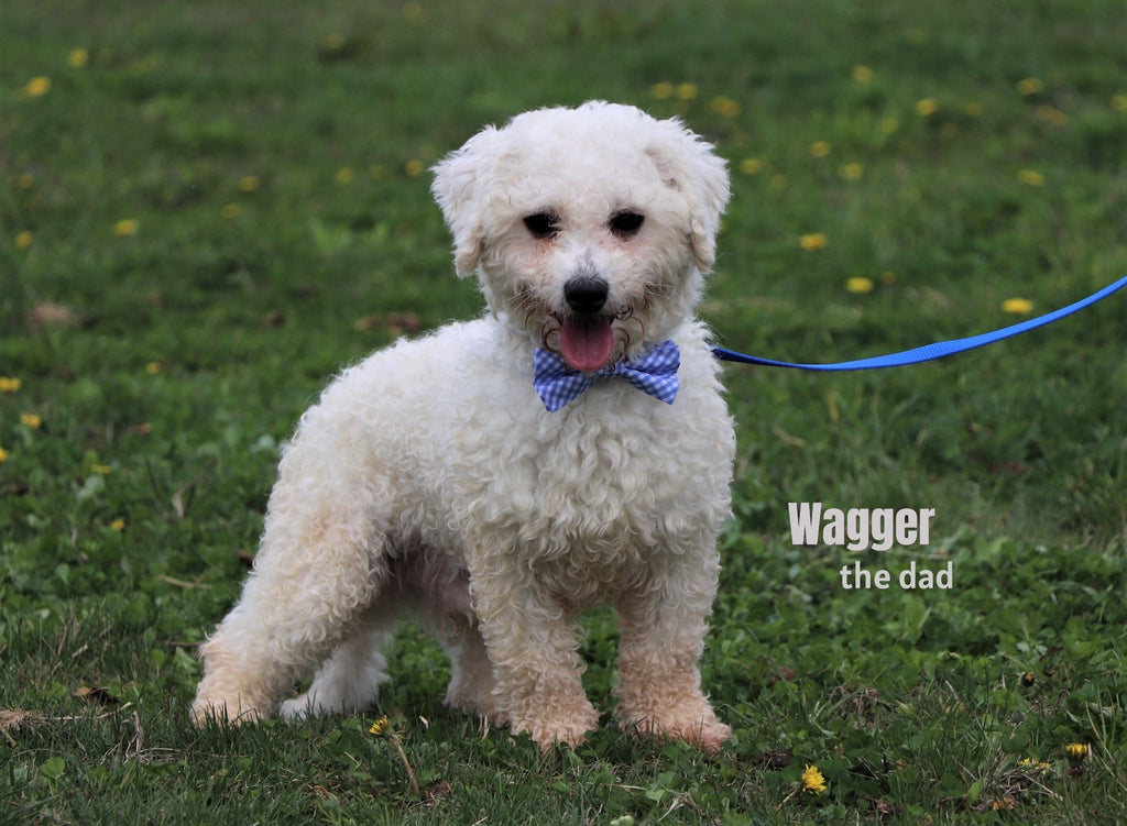 Berlin - Available 1/8