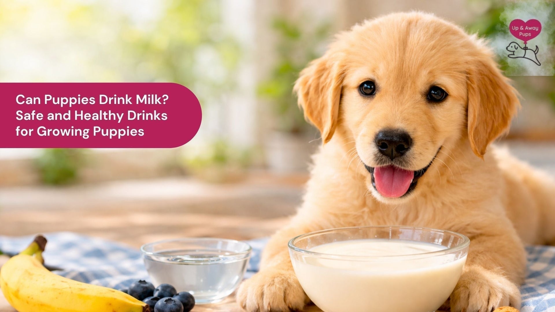 Can Puppies Drink Milk? Safe and Healthy Drinks for Growing Puppies