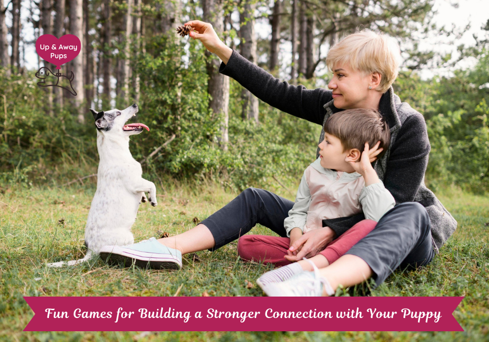 Fun Games for Building a Stronger Connection with Your Puppy