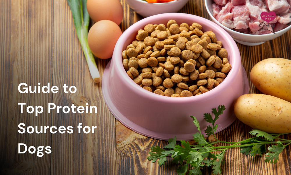 protein sources for dogs