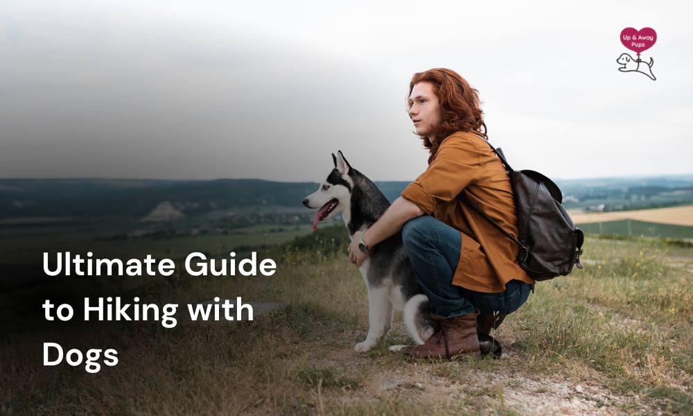 The Ultimate Guide to Hiking with Dogs : Best Trails, Gear, and More