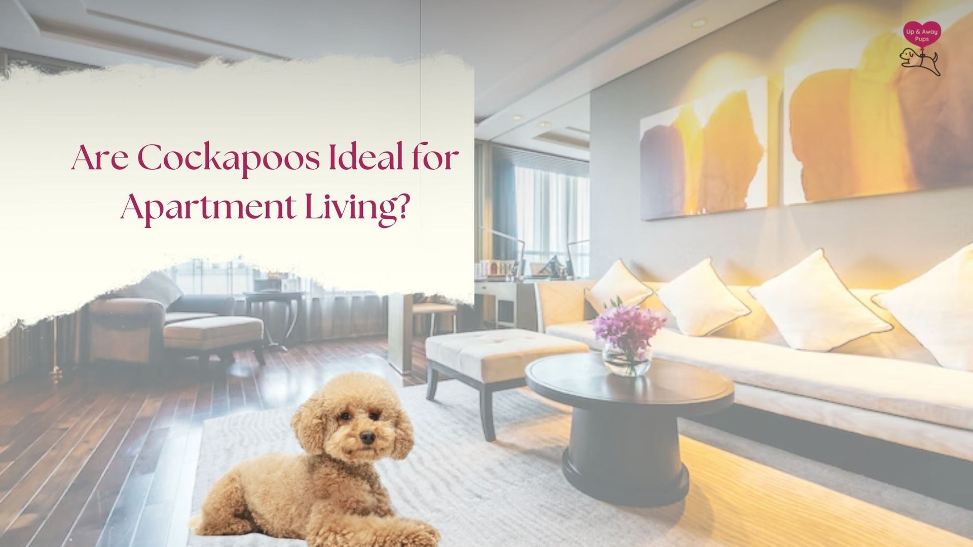 are cockapoos ideal for apartment living