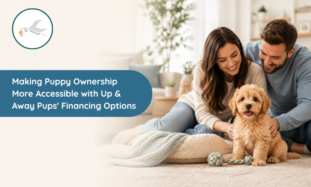 Making Puppy Ownership More Accessible with Up & Away Pups' Financing Options