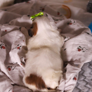 Monica - Available 4/9