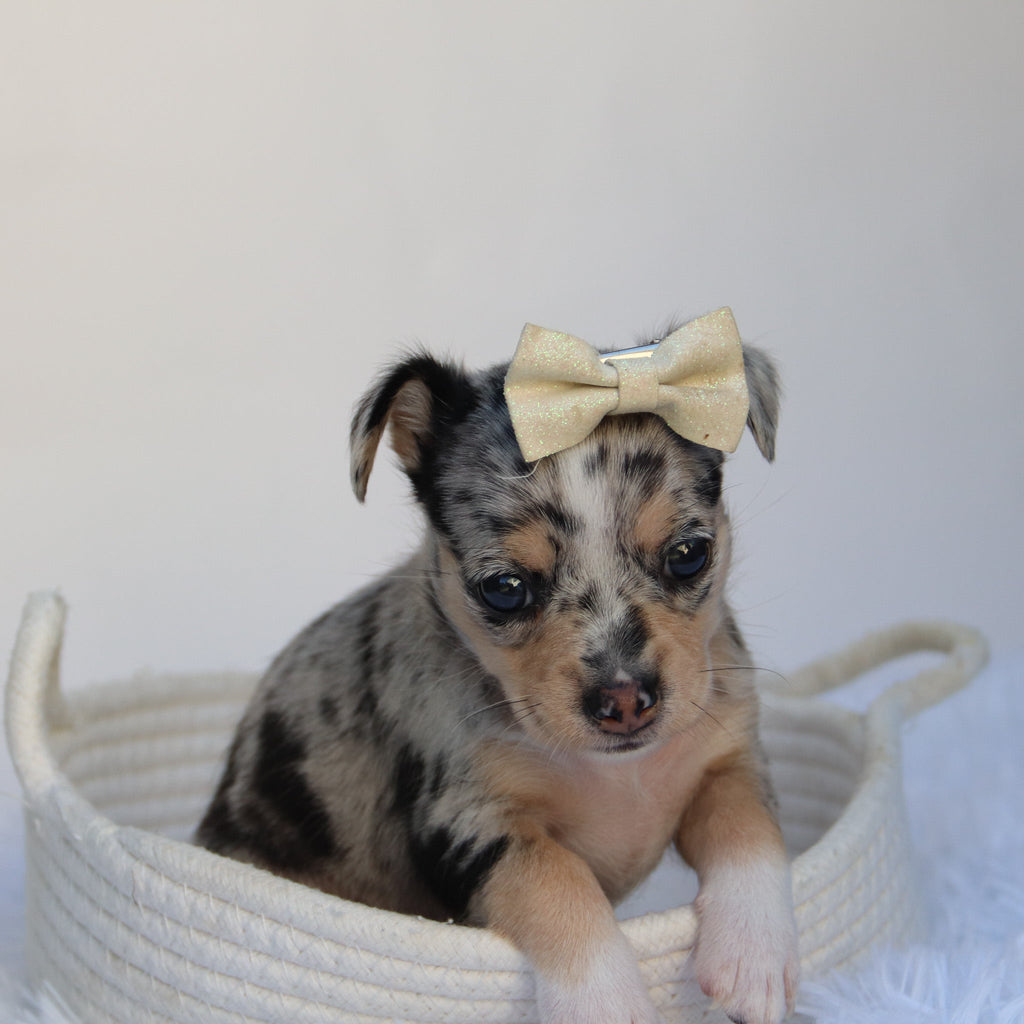 Talia - Available 9/10