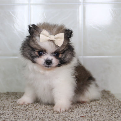 Nancy - Available 5/14