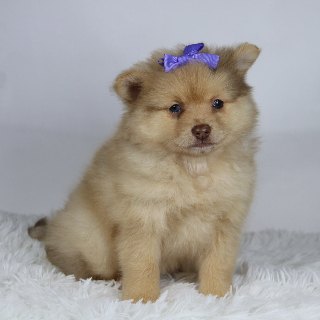 Sara - Available 11/19