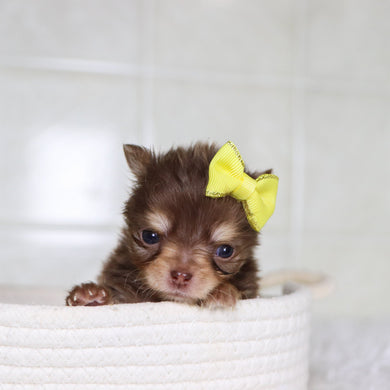 Lana - Available 2/4