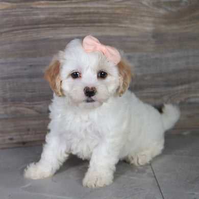 Jill - Available 5/14
